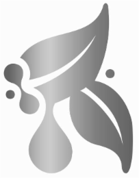 R logo