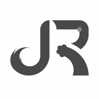 R logo