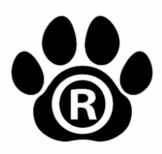 R logo
