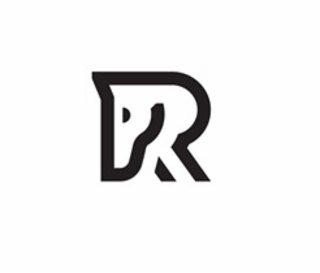 R logo