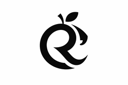 R logo