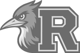 R logo