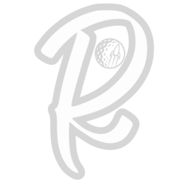 R logo