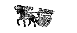 R. CARBONE logo
