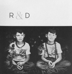 R & D logo