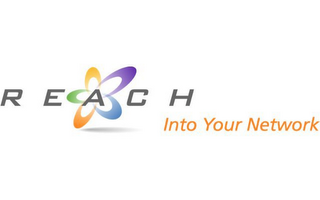 R E A C H INTO YOUR NETWORK logo