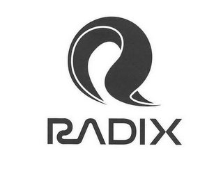 R RADIX logo
