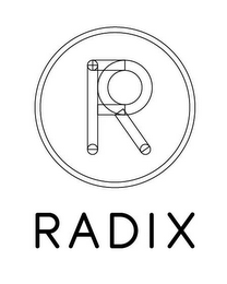 R RADIX logo