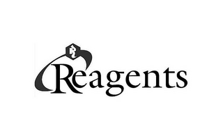 R REAGENTS logo