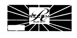 R RECOM SUB-GH logo