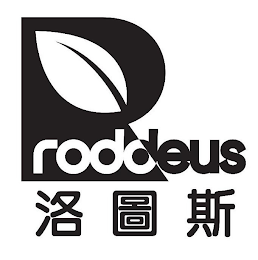 R RODDEUS logo