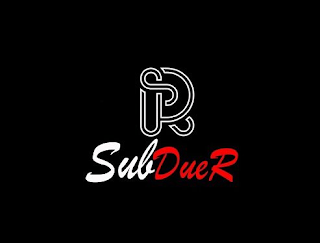 R SUBDUER logo