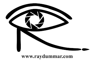 R WWW.RAYDUMMAR.COM logo