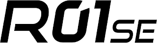 R01SE logo