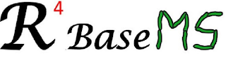 R4 BASE MS logo