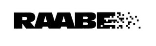 RAABE logo