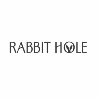 RABBIT HOLE