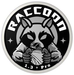 RACCOON 1.3 + PRO logo