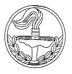 RACE TORCH logo