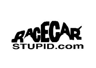 RACECAR STUPID.COM logo