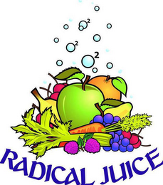 RADICAL JUICE O2 logo