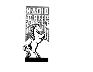 RADIO AAHS logo