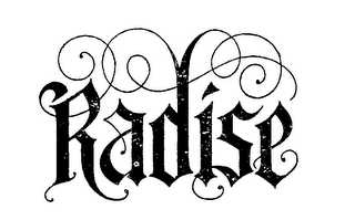 RADISE logo
