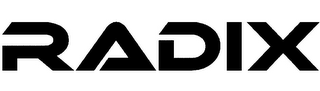 RADIX logo