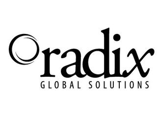 RADIX GLOBAL SOLUTIONS logo