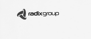 RADIXGROUP logo