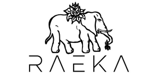 RAEKA logo