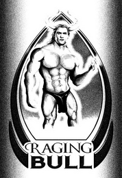 RAGING BULL logo