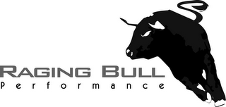 RAGING BULL PERFORMANCE logo