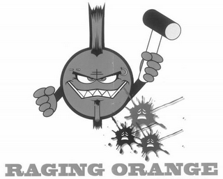 RAGING ORANGE logo