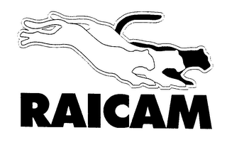 RAICAM logo