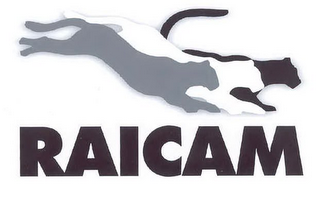 RAICAM logo