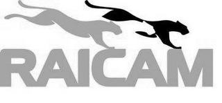RAICAM logo