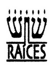 RAICES logo