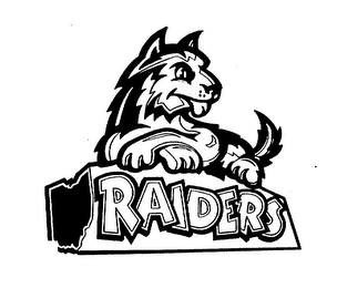 RAIDERS logo