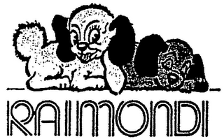 RAIMONDI logo