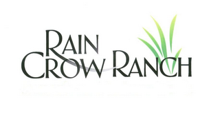 RAIN CROW RANCH logo