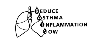 RAIN REDUCE ASTHMA INFLAMMATION NOW logo
