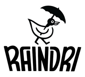 RAINDRI logo