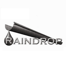 RAINDROP logo