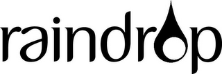 RAINDROP logo