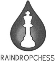 RAINDROPCHESS logo