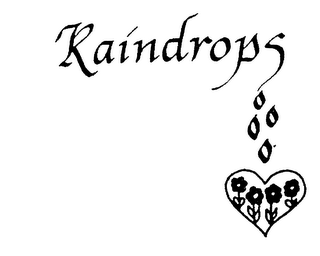 RAINDROPS logo