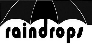 RAINDROPS logo