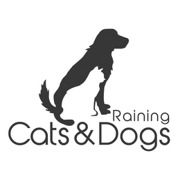 RAINING CATS & DOGS logo