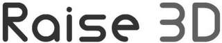 RAISE 3D logo
